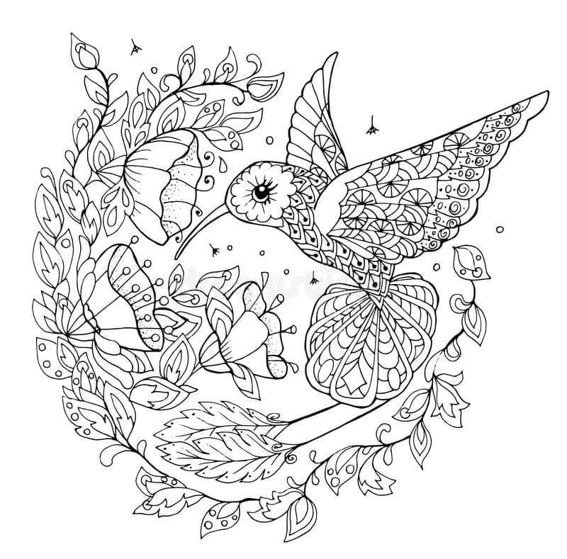 Dibujo de Colibri Zentangle para Colorear