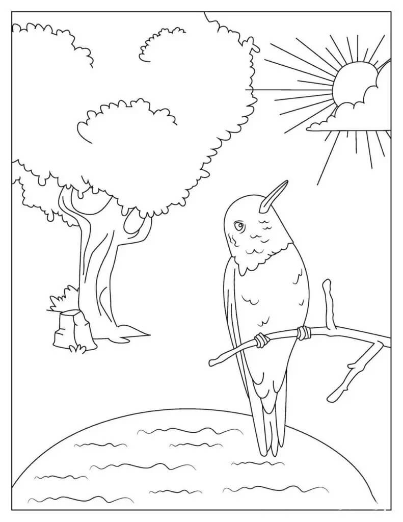 Dibujo de Colibri con árbol para Colorear