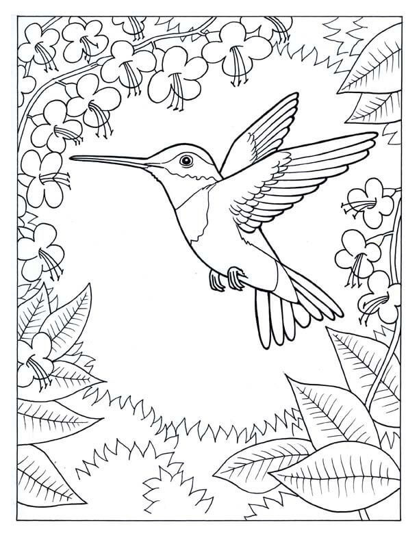 Dibujo de Colibri con Flor y Hojas para Colorear