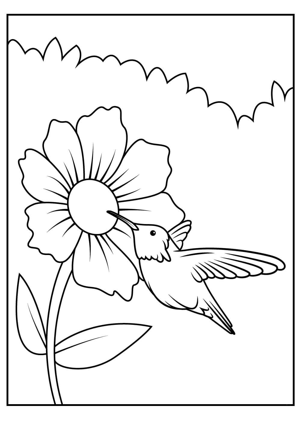 Dibujo de Colibri con Girasol para Colorear