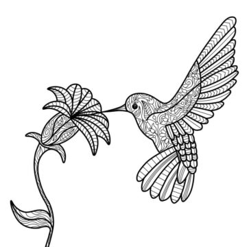 Dibujo de Colibr con Mandala de Flores para Colorear