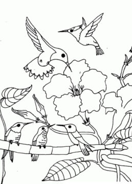 Dibujo de Familia básica de Colibries en el árbol para Colorear