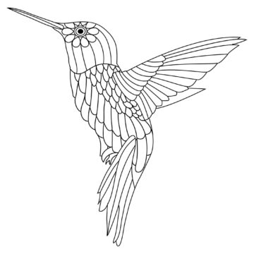 Dibujo de Gran Colibri para Colorear