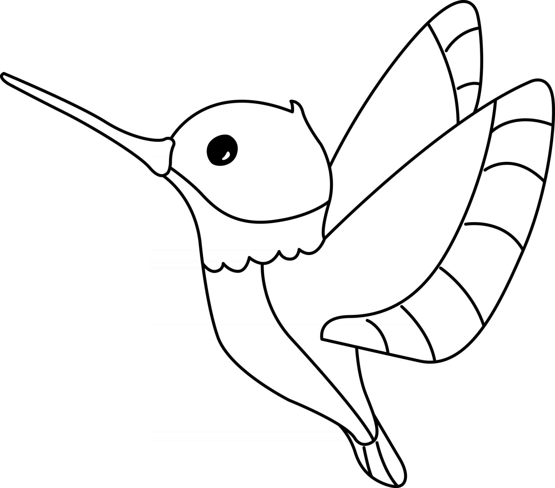 Dibujo de Impresionante Colibri para Colorear