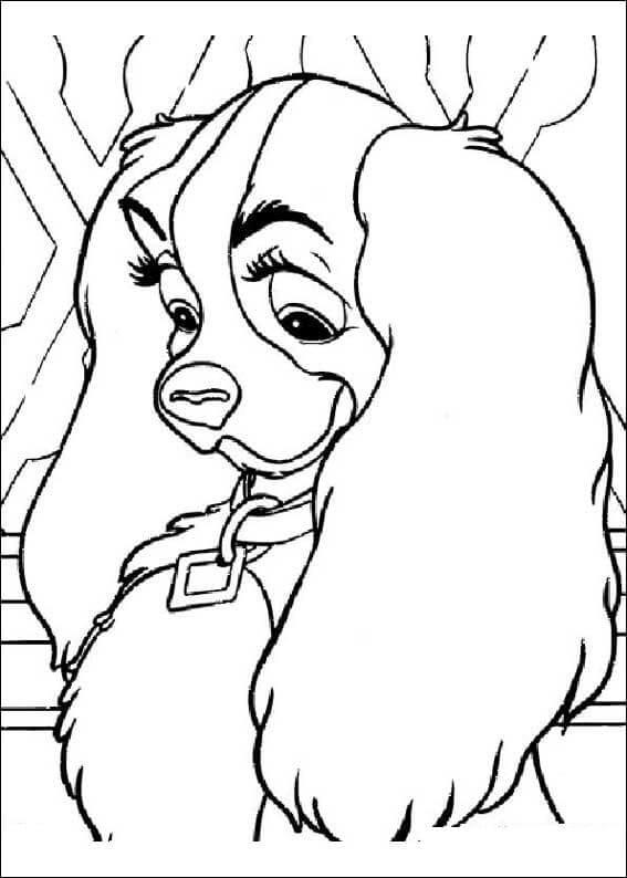 Dibujo de Cara Seora Perro Llevando Collar para Colorear