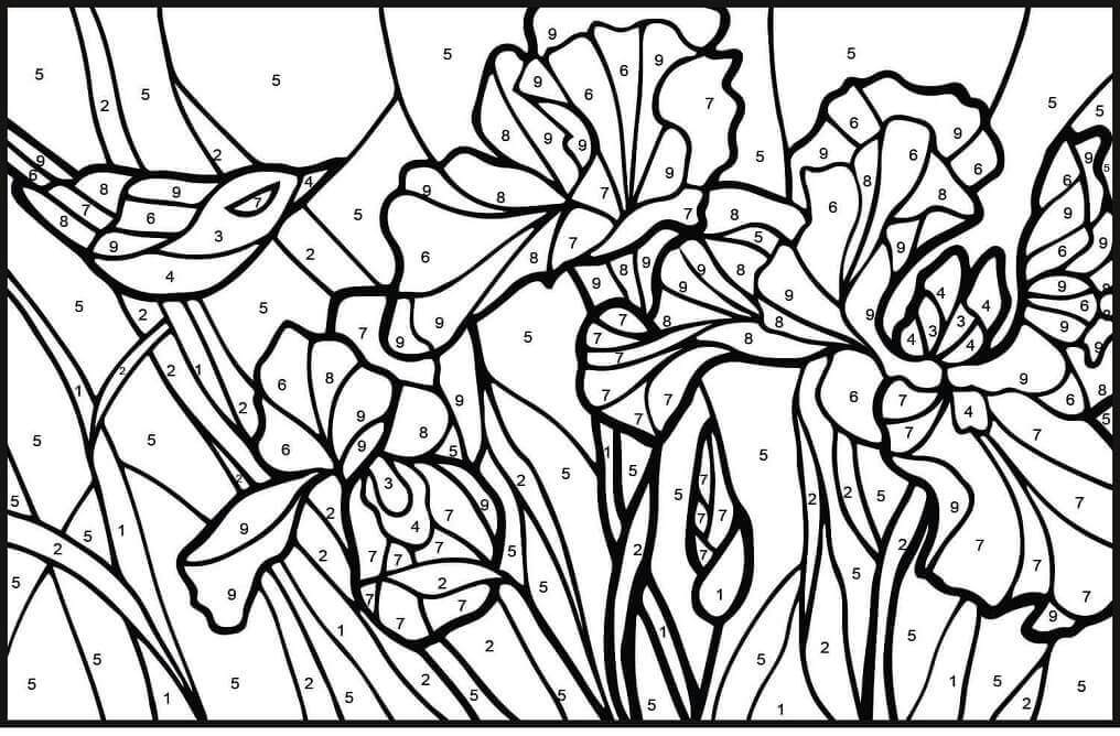 Dibujo de Color de Lirios por Nmero para Colorear
