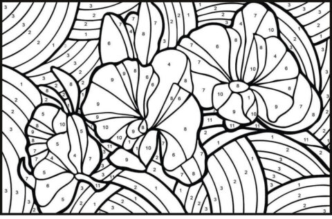 Dibujo de Color de Orqudeas por Nmero para Colorear