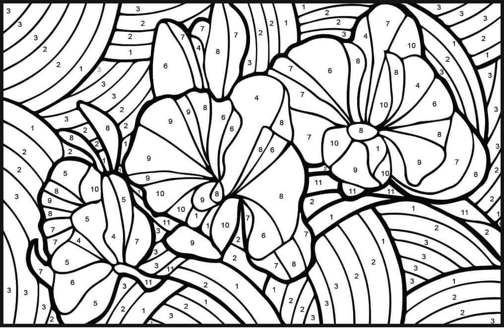 Dibujo de Color de Orqudeas por Nmero para Colorear