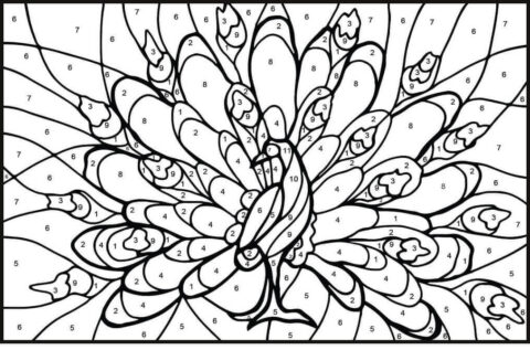Dibujo de Color de Pavo Real por Nmero para Colorear