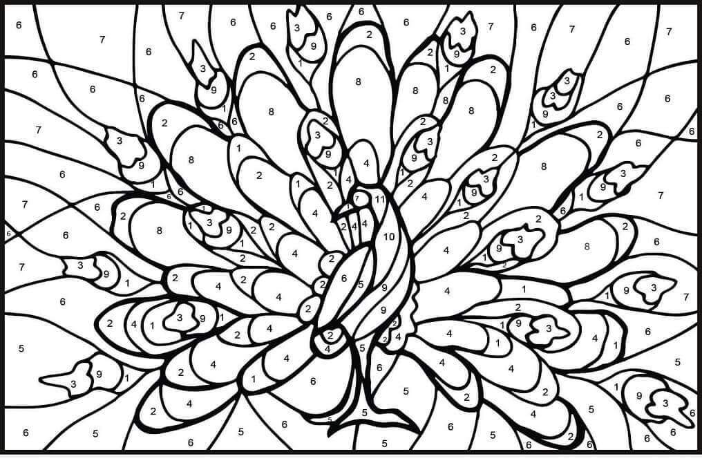 Dibujo de Color de Pavo Real por Nmero para Colorear