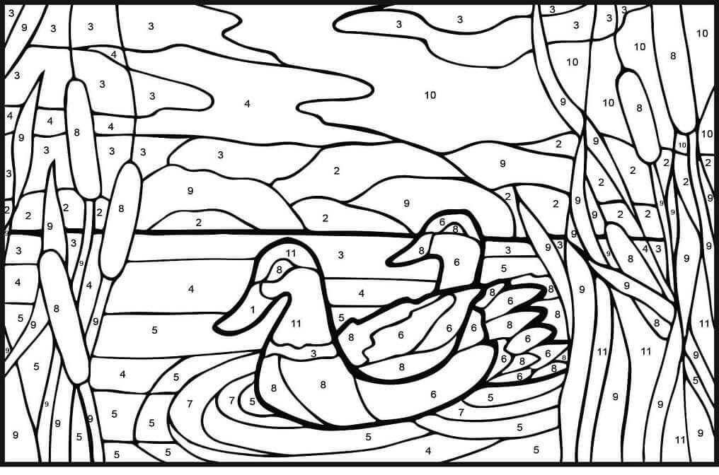 Dibujo de Color de los Patos Mullard por Nmero para Colorear