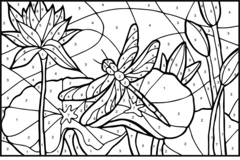 Dibujo de Liblula para Colorear por Nmero para Colorear