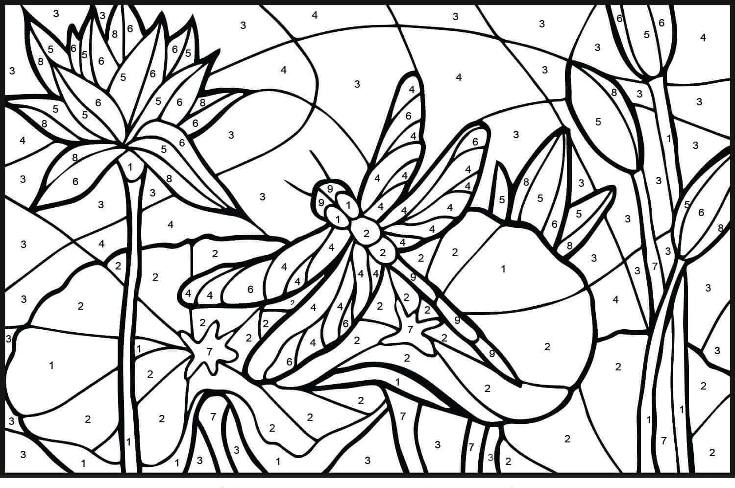 Dibujo de Liblula para Colorear por Nmero para Colorear