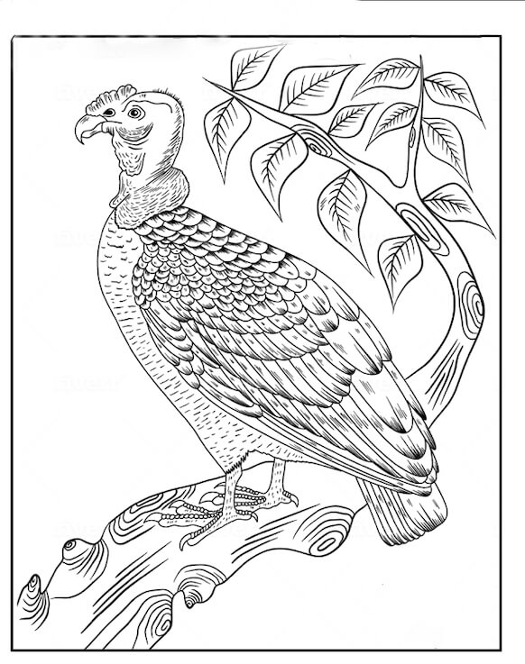 Dibujo de Cndor de California de Pie en la Rama de un Rbol para Colorear