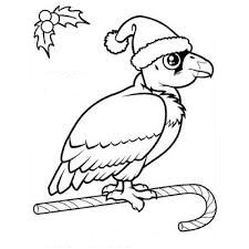 Dibujo de Cndor en Navidad para Colorear