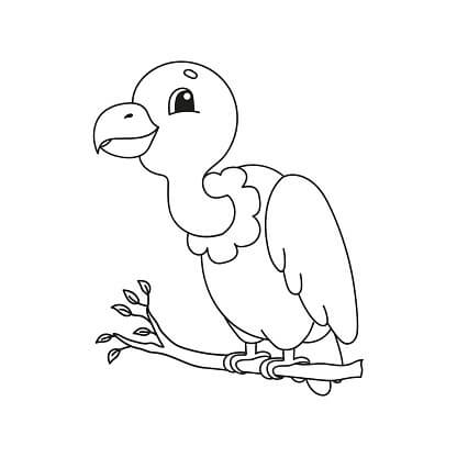 Dibujo de Pequeo Cndor para Colorear