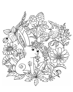 Dibujo de Un Conejo para Colorear