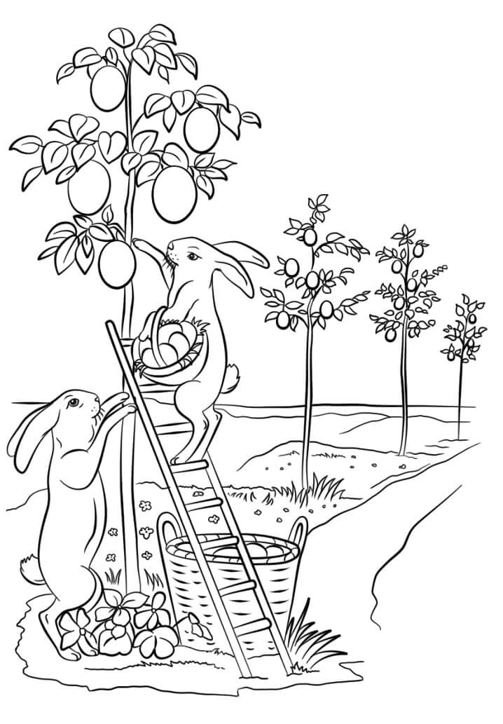 Dibujo de Bonitos Conejos de Pascua para Colorear