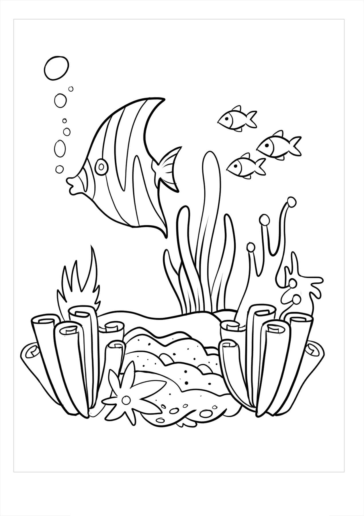Dibujo de Arrecife de Coral para Colorear