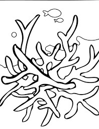 Dibujo de Bonito Coral para Colorear
