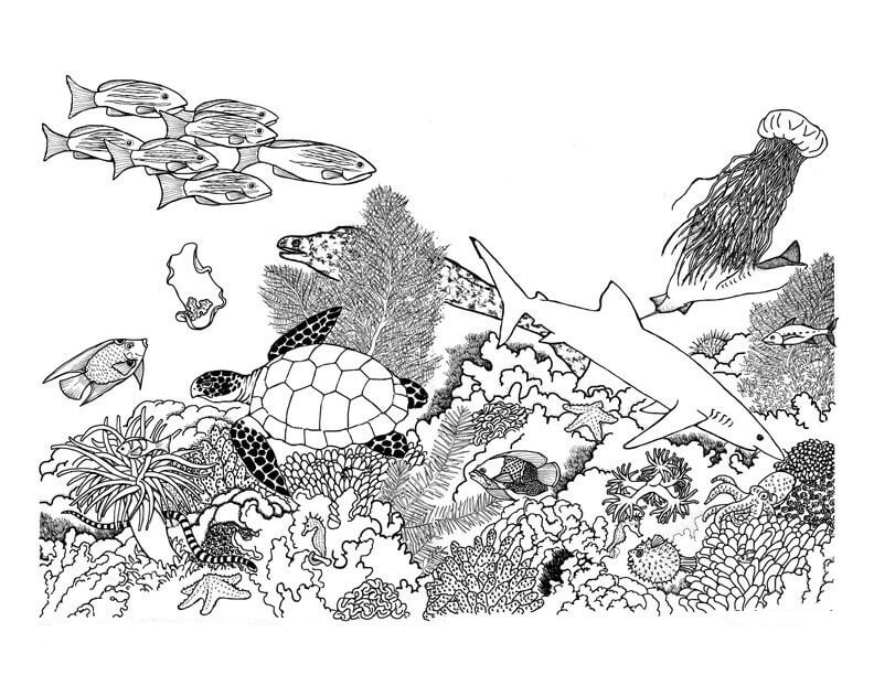 Dibujo de Colorea el Arrecife de Coral para Colorear