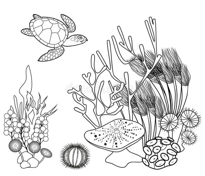 Dibujo de Coral Bajo el Mar para Colorear