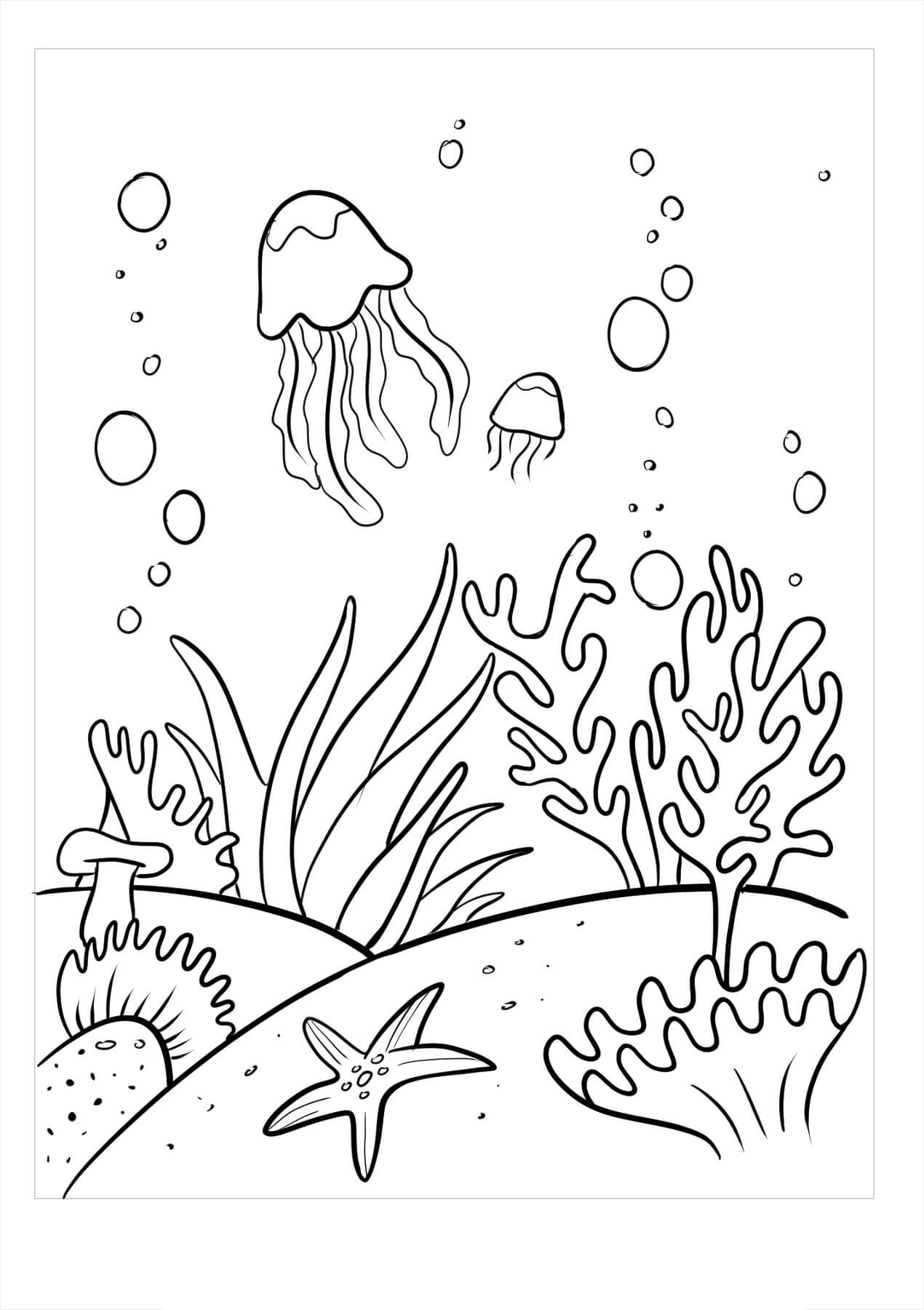 Dibujo de Coral Bsico para Colorear