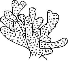 Dibujo de Coral Digital para Colorear
