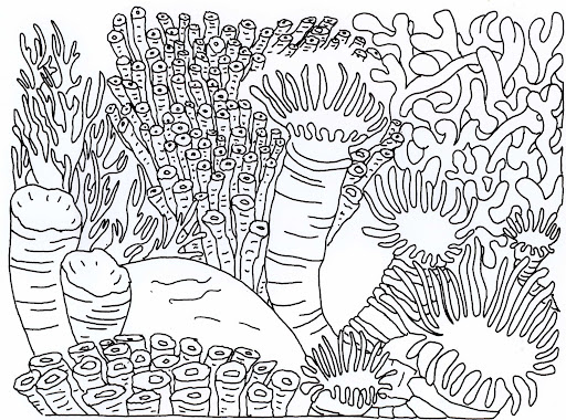 Dibujo de Coral Duro para Colorear