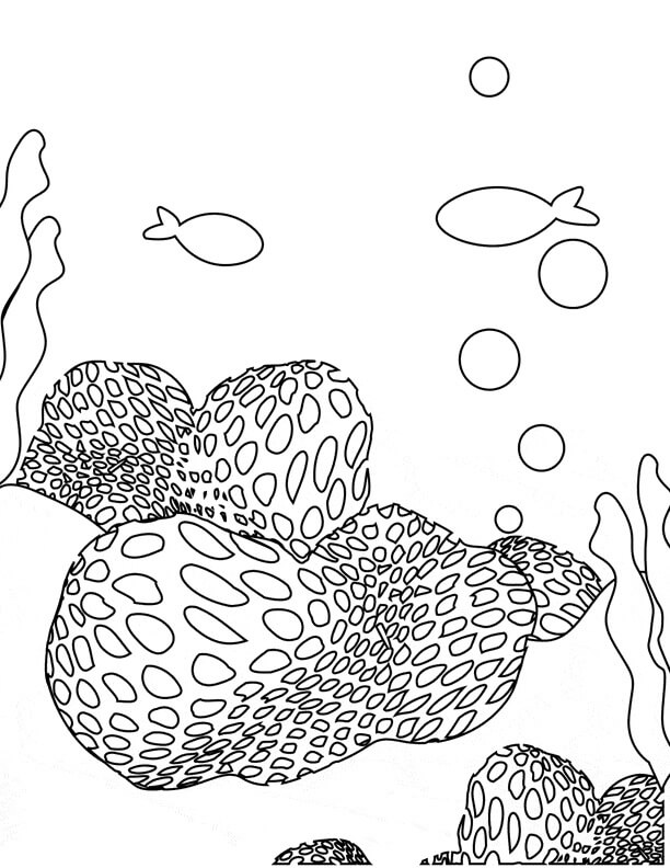 Dibujo de Coral Imprimible para Colorear