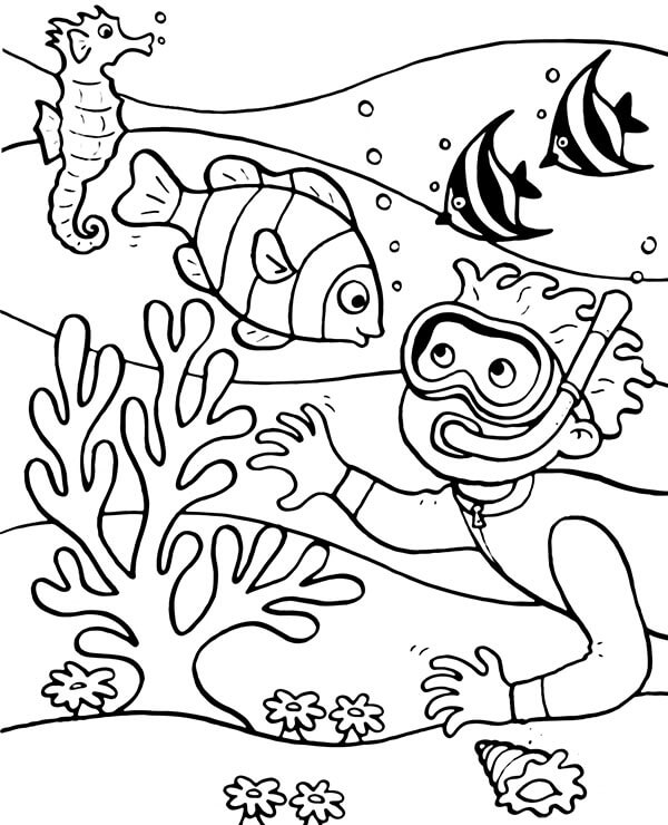 Dibujo de Coral Nio y Pez para Colorear