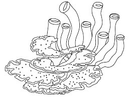 Dibujo de Coral Normal para Colorear