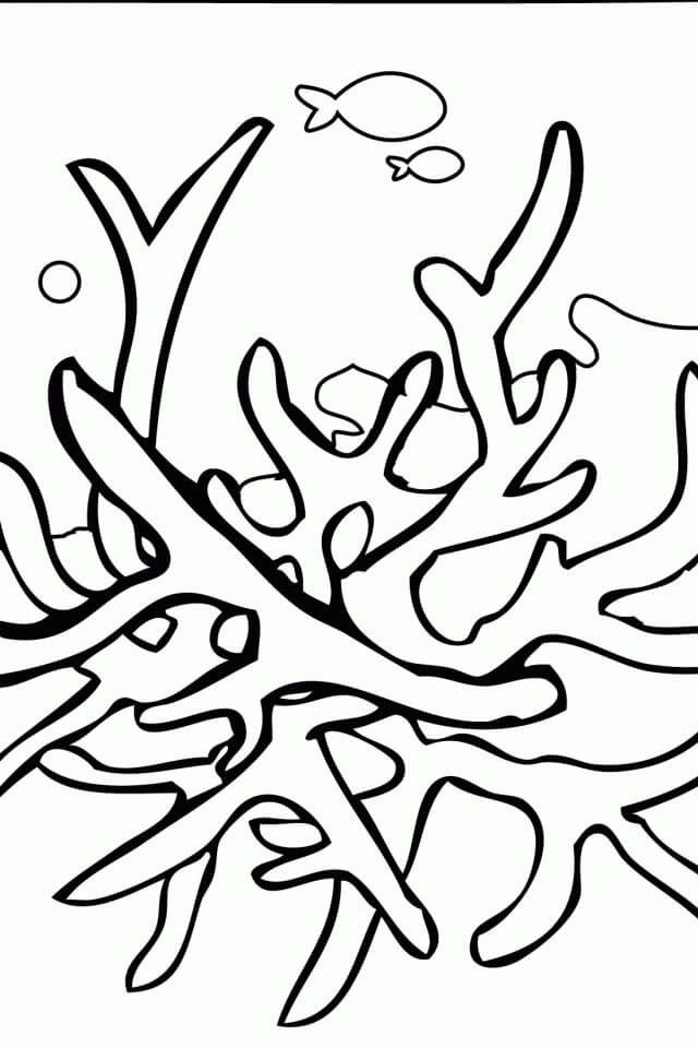 Dibujo de Coral Simple para Colorear