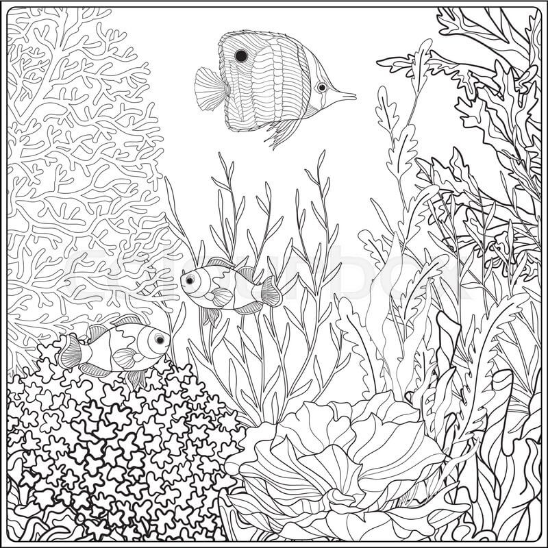 Dibujo de Coral para Adulto para Colorear