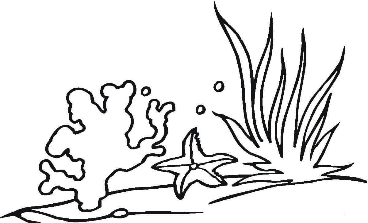 Dibujo de Coral y Estrella de Mar para Colorear