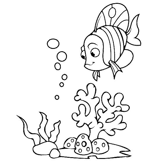 Dibujo de Coral y Pescado para Colorear
