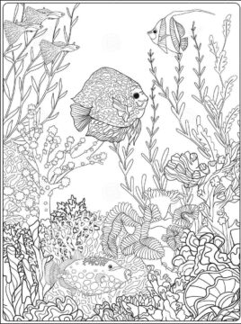 Dibujo de Coral para Colorear