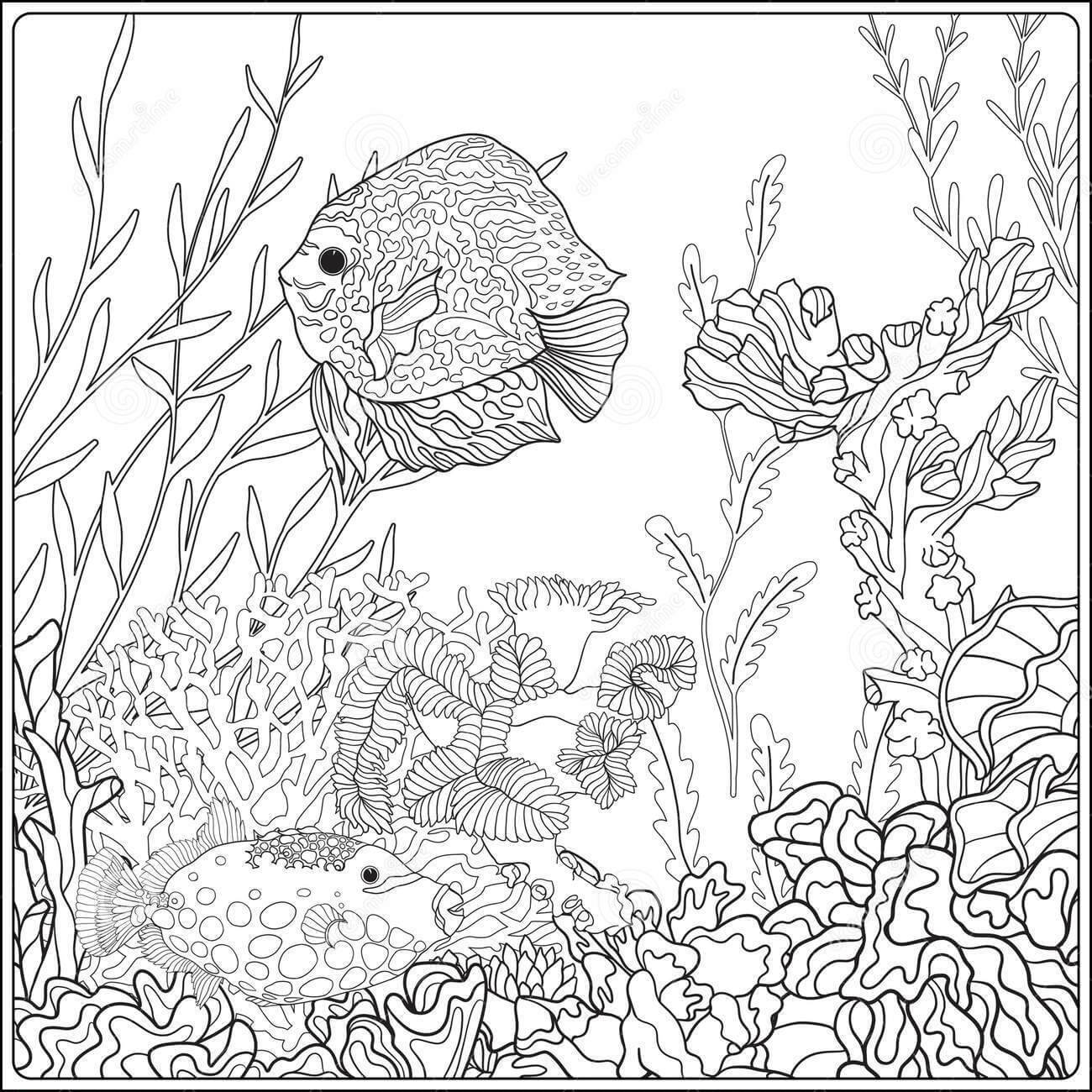 Dibujo de Hermoso Coral en el Mar para Colorear