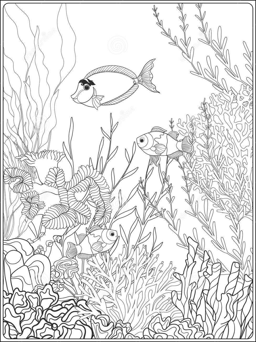 Dibujo de Hermoso Coral para Colorear