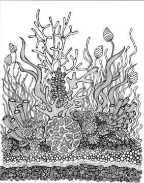 Dibujo de Jardn de Coral Adulto para Colorear