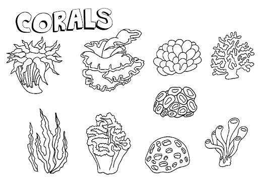 Dibujo de Nueve Coral para Colorear