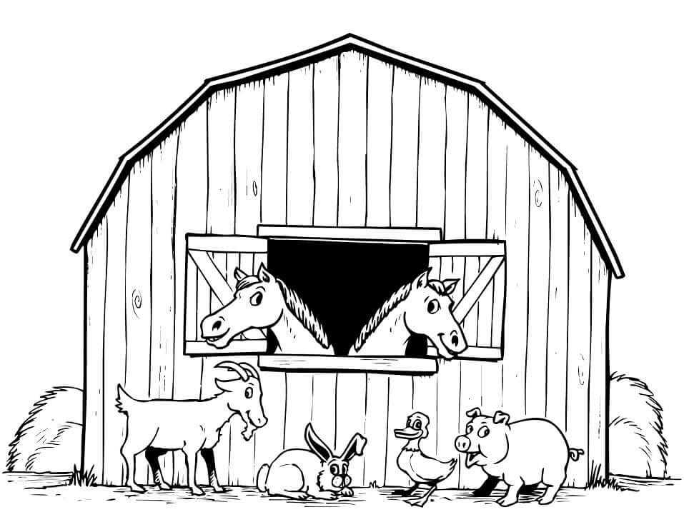 Dibujo de Animales de Corral para Colorear