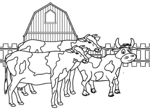 Dibujo de Corral de Vacas para Colorear
