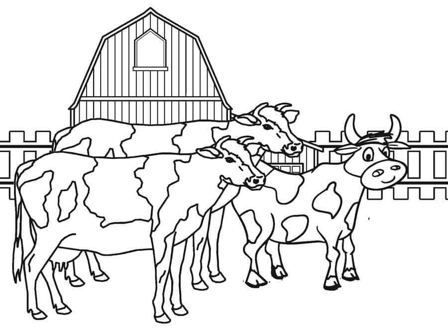 Dibujo de Corral de Vacas para Colorear
