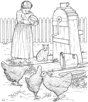 Dibujo de Pollos en el Corral para Colorear