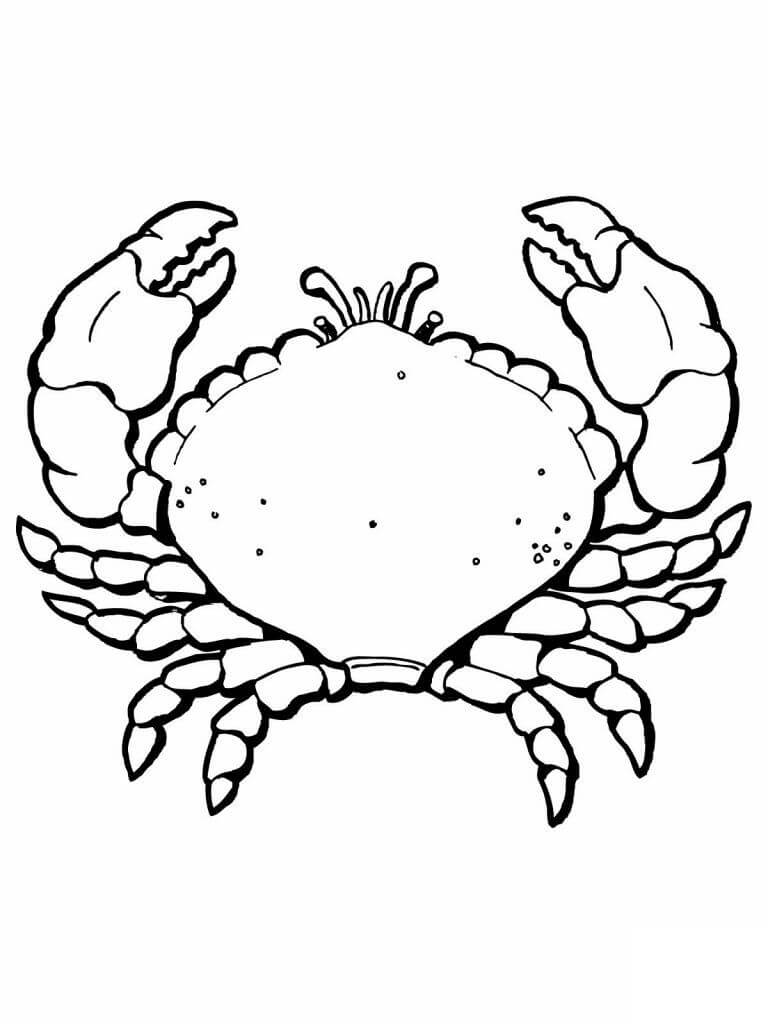 Dibujo de Cangrejo básico para Colorear