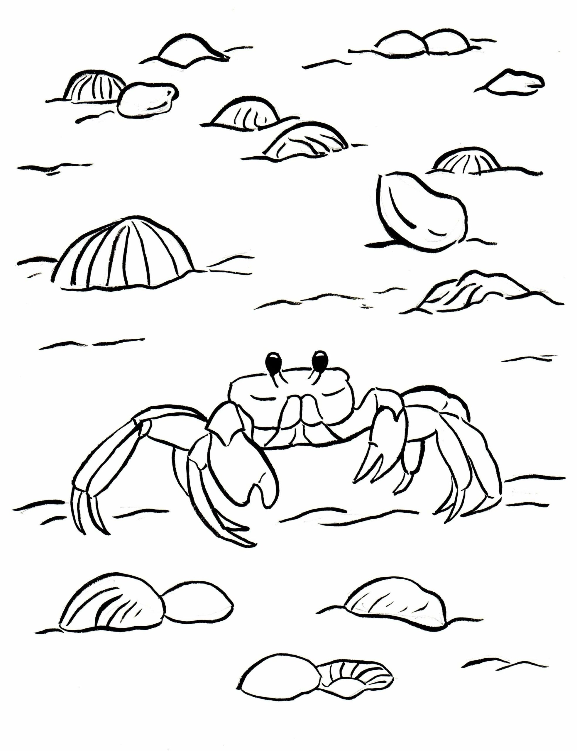 Dibujo de Cangrejo Caminando para Colorear