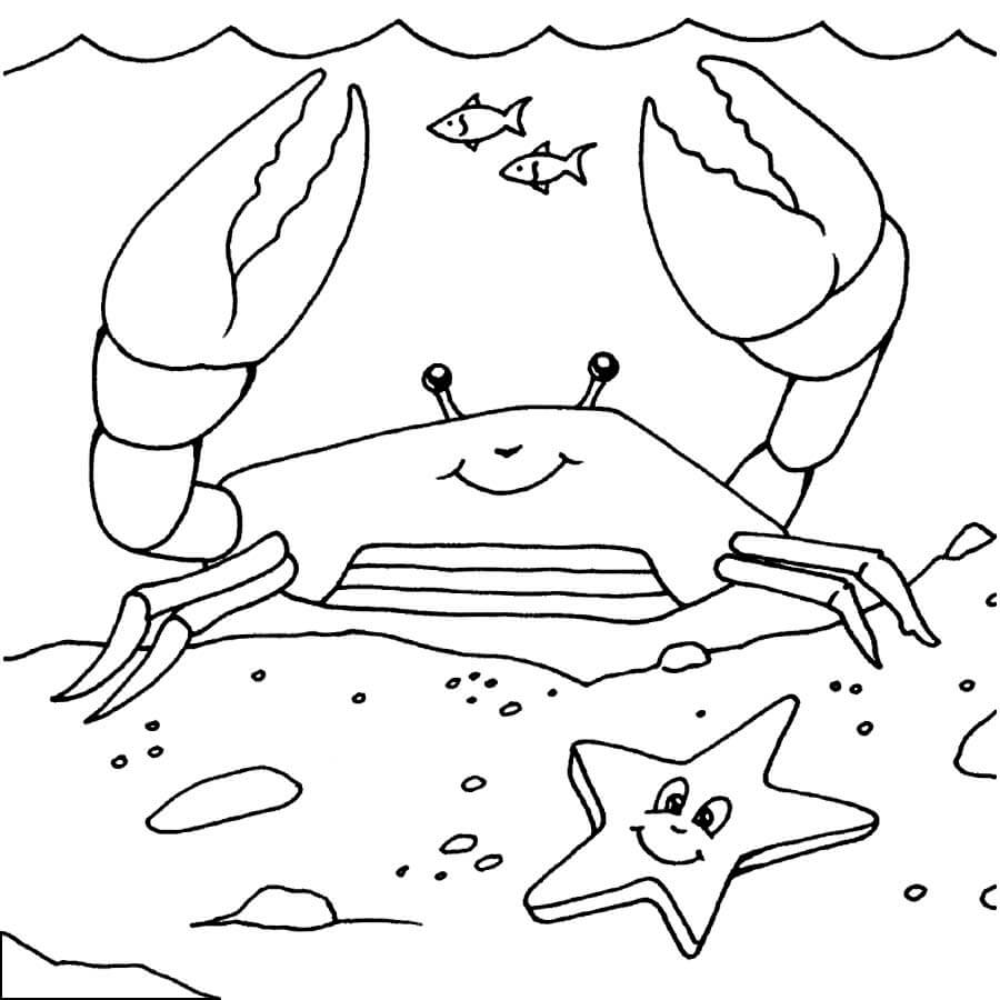 Dibujo de Cangrejo con Estrella de Mar para Colorear