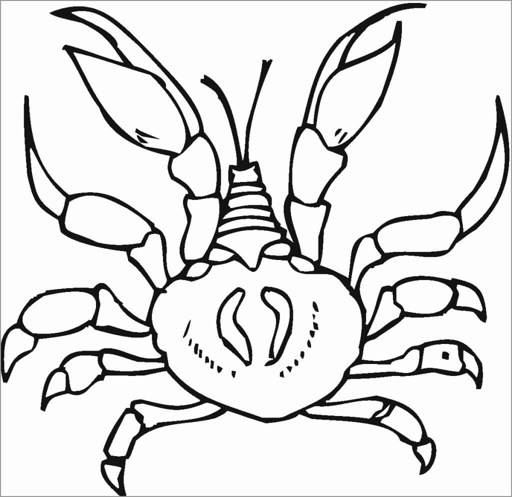 Dibujo de Cangrejo de Dibujo Normal para Colorear