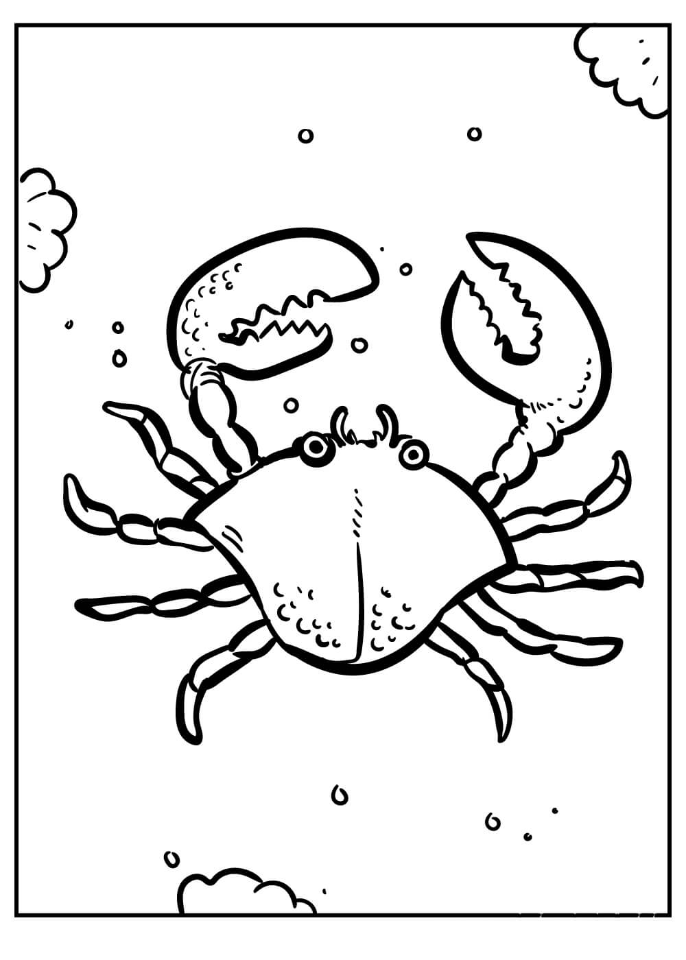 Dibujo de Cangrejo de Dibujo para Colorear